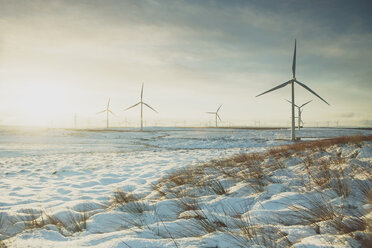 Windkraftanlagen in einer Sandlandschaft, Ayrshire, Schottland - CUF31041