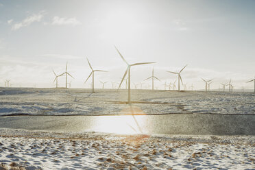 Windkraftanlagen in einer Sandlandschaft, Ayrshire, Schottland - CUF31056