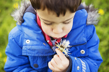 Portrait of boy in blue coat blowing dandelion clock - CUF31121