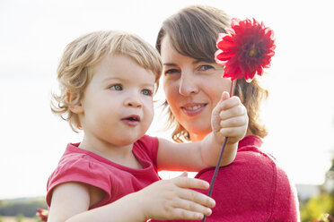 Porträt einer erwachsenen Mutter und einer kleinen Tochter, die eine rote Blume in einem Feld halten - CUF31189