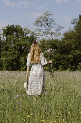 Italien, Venetien, Junge Frau pflückt Blumen und Kräuter auf einem Feld - ALBF00406