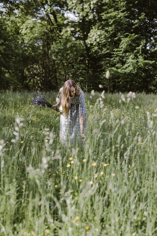 Italien, Venetien, Junge Frau pflückt Blumen und Kräuter auf einem Feld, lizenzfreies Stockfoto