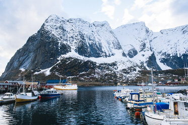 Fishing boats in harbour, Reine, Lofoten, Norway - ISF09677