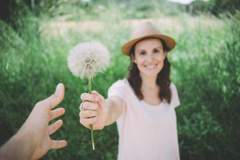 Mann empfängt Pusteblume von Frau, Nahaufnahme - GEMF02074