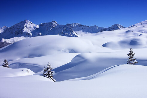 Tief verschneite Landschaft und Tannenbäume, Arosa, Schweiz - CUF31352