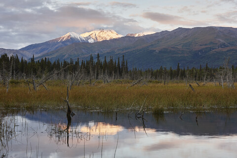 USA, Alaska, Denali Road im Herbst, lizenzfreies Stockfoto