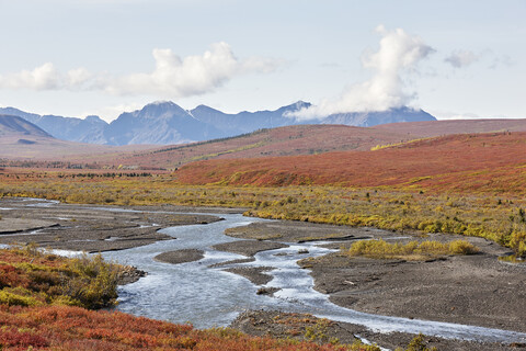 USA, Alaska, Denali-Nationalpark, Alaska Range im Herbst, lizenzfreies Stockfoto