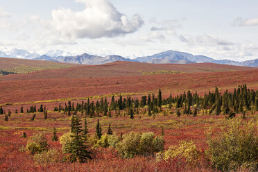 USA, Alaska, Denali-Nationalpark, Alaska Range im Herbst - CVF00826