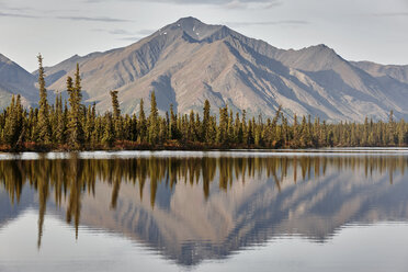 USA, Alaska, Denali Road im Herbst - CVF00831