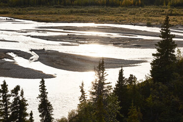 USA, Alaska, Denali National Park, Fluss im Gegenlicht - CVF00835