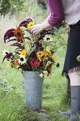 Beschnittene Ansicht einer reifen Frau, die Blumen in einem Eimer im Kleingarten arrangiert - CUF31748