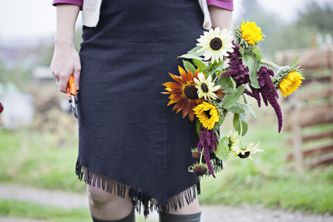 Blick von der Taille auf eine Frau, die in einer Kleingartenanlage frische Blumen schneidet, lizenzfreies Stockfoto