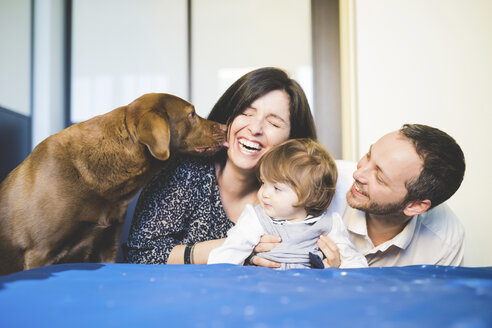 Mid adult couple laughing with toddler daughter and pet dog - CUF31773
