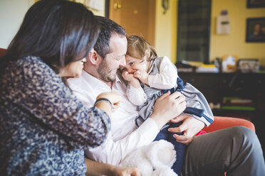 Shy female toddler sitting on fathers lap in living room - CUF31781