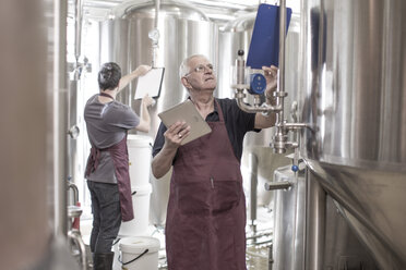 Brewers in brewery standing next to stainless steel tanks - ISF09726