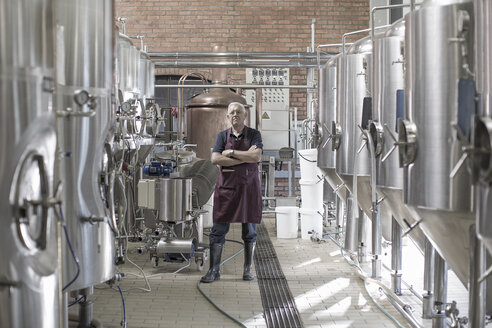 Porträt eines Brauers in einer Brauerei, stehend neben Edelstahltanks - ISF09729