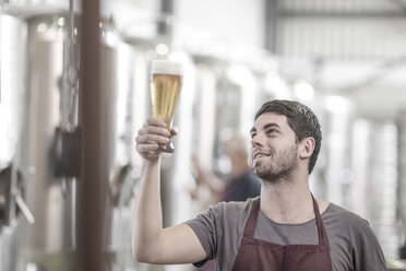 Brauer in einer Brauerei mit einem Glas Bier in der Hand - ISF09730