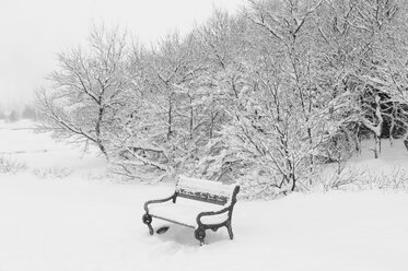 Schneebedeckte Bäume und Parkbank, Reykjavik, Island - ISF09800