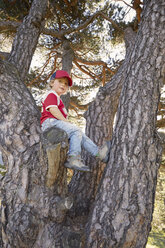 Porträt eines auf einem Baum sitzenden Jungen - ISF09991