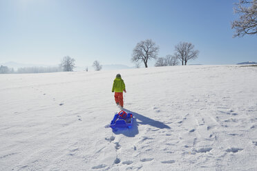 Young boy walking in snow, pulling sled behind him, rear view - ISF10019