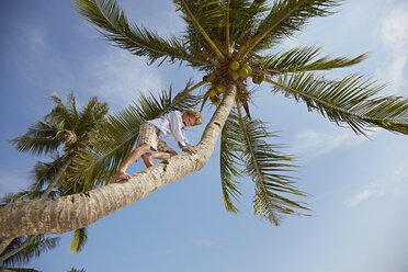 Niedriger Blickwinkel eines Jungen, der auf eine Palme klettert, Insel Rawa, Malaysia - ISF10042