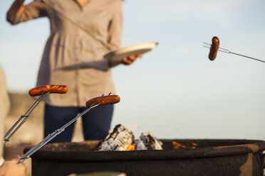 Group of friends having barbecue on beach - ISF10274