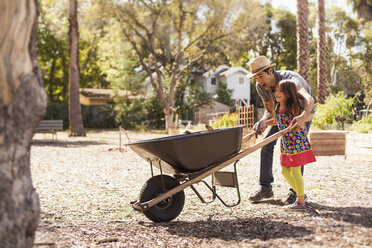 Mid adult man and daughter in community garden pushing wheelbarrow - ISF10292