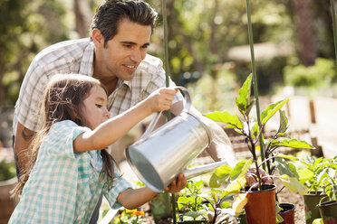 Girl with father using watering can in community garden - ISF10309