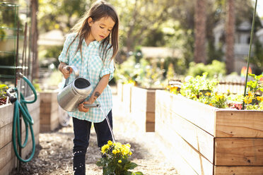 Mädchen bewässert Blumen im Gemeinschaftsgarten - ISF10310