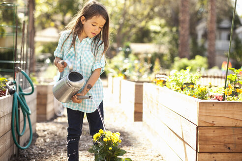 Mädchen bewässert Blumen im Gemeinschaftsgarten - ISF10310