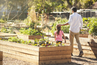 Mädchen geht mit Vater im Gemeinschaftsgarten spazieren - ISF10315