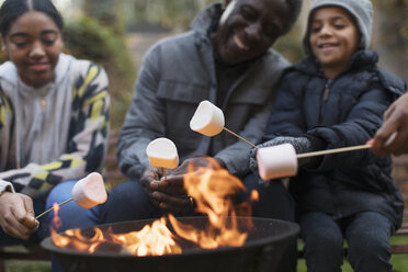 Großvater und Enkelkinder rösten Marshmallows am Lagerfeuer - CAIF20699