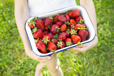 Mädchen hält Schale mit Erdbeeren, Teilansicht - LVF07100