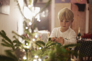 Young boy decorating christmas tree - CUF32439