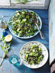 Wild rice, pea and broccoli salad - CUF32749