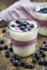 Blueberry yogurt curd dessert on wood - LVF07104