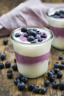 Blueberry yogurt curd dessert on wood - LVF07104