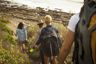 Gruppe von Freunden geht zum Strand hinunter, Rückansicht - ISF10708