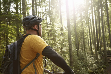 Älterer Mann fährt Fahrrad im Wald, Rückansicht - ISF10731