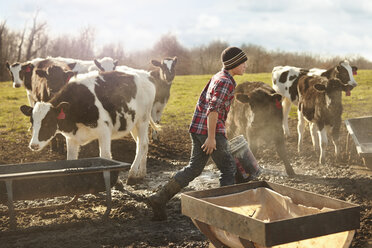 Boy farmer feeding cows in dairy farm field - ISF10741