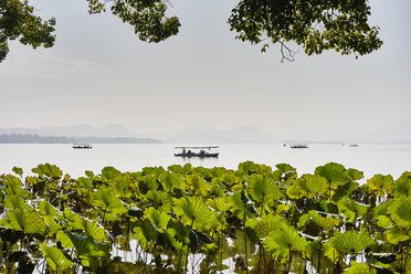 Blick auf Wasserpflanzen und ein Fischerboot mit Silhouette am Westlake, Hangzhou, China - ISF10746
