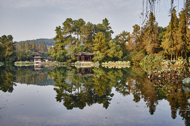 Spiegelbild von Bäumen und traditionellen Gebäuden in Westlake, Hangzhou, China - ISF10747