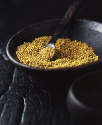 Organic bakery ingredients: yellow mustard seeds - ISF10953