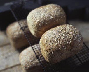 Bio-Brot mit Haferflocken, frisch aus dem Ofen, auf dem Kühlregal - ISF10955