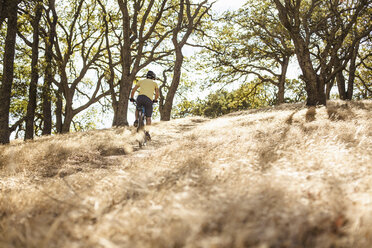 Erhöhte Ansicht eines jungen Mannes, der mit dem Mountainbike einen bewaldeten Hügel hinauffährt, Mount Diablo, Bay Area, Kalifornien, USA - ISF11351