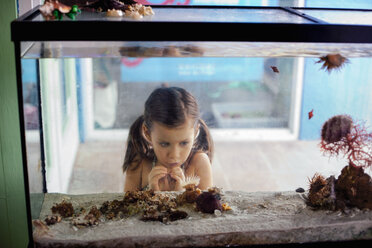 Girl looking into salt water aquarium - ISF11480