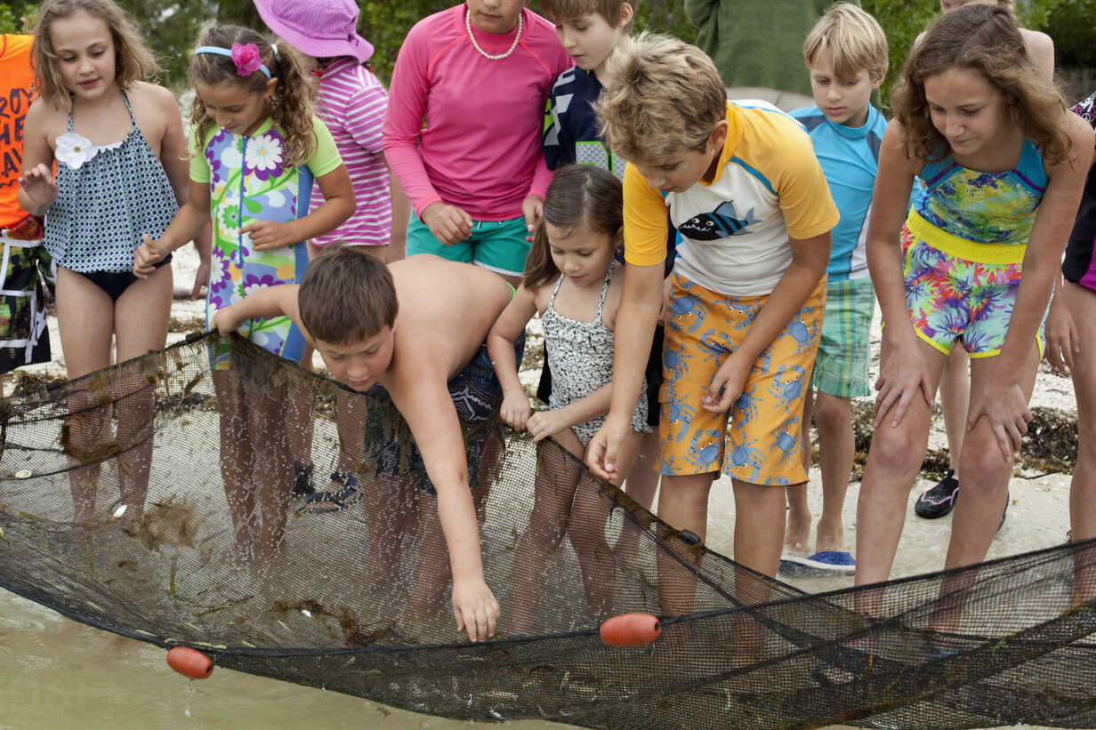 Front view of large group of kids collecting small fish from fishing net  stock photo