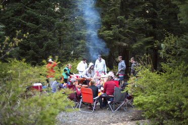 Gruppe von Freunden beim Picknick im Wald - ISF11628