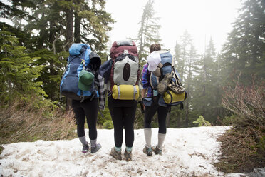 Wanderer, die durch den Wald wandern, Lake Blanco, Washington, USA - ISF11635