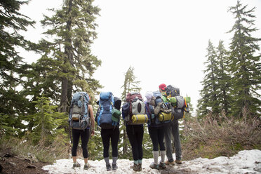 Wanderer, die durch den Wald wandern, Lake Blanco, Washington, USA - ISF11636